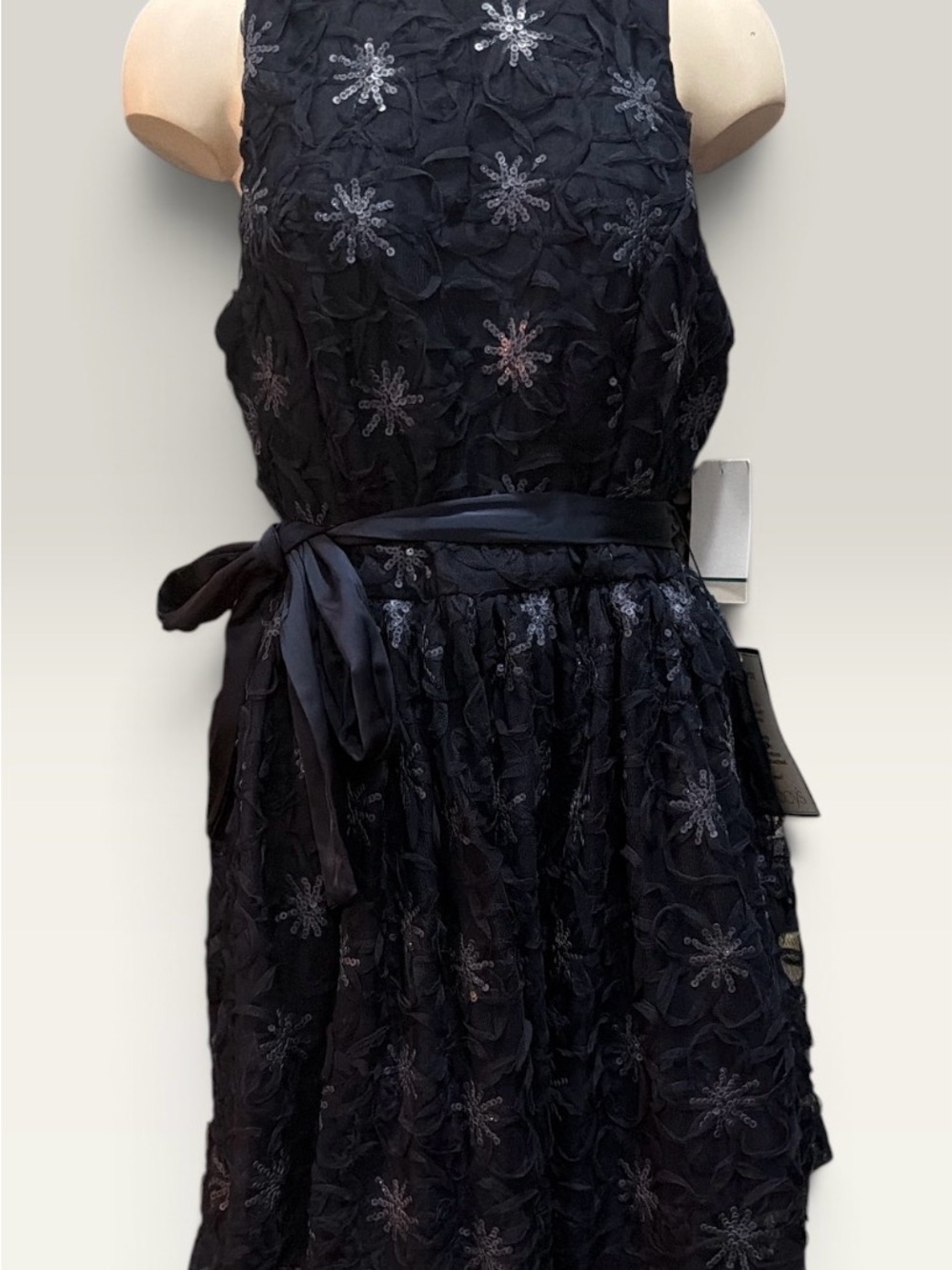 Taylor Sleeveless Navy Embroidered Tie-Waist Dress